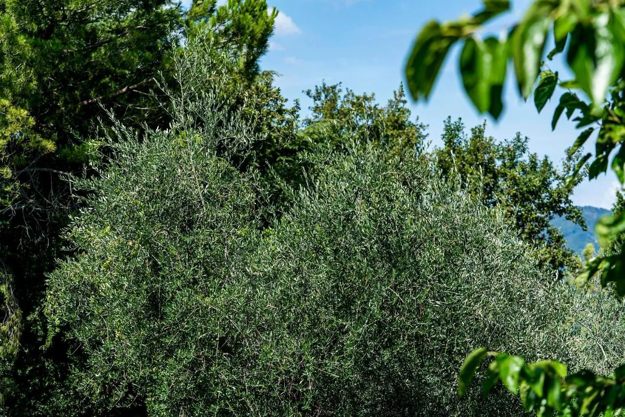 Agriturismo Le Chiusure San Felice del Benaco 0*,