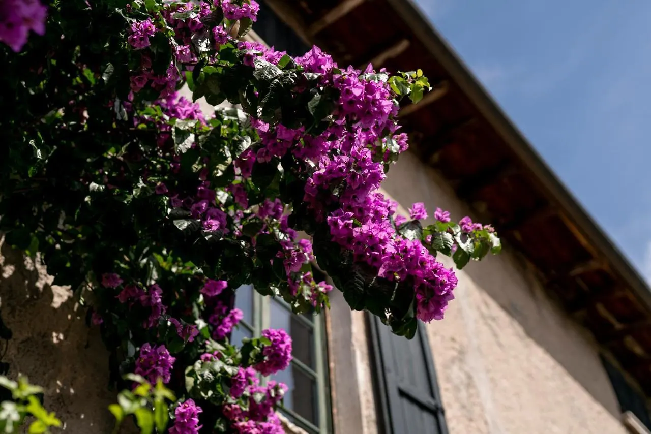 Gospodarstwo agroturystyczne Agriturismo Le Chiusure San Felice del Benaco