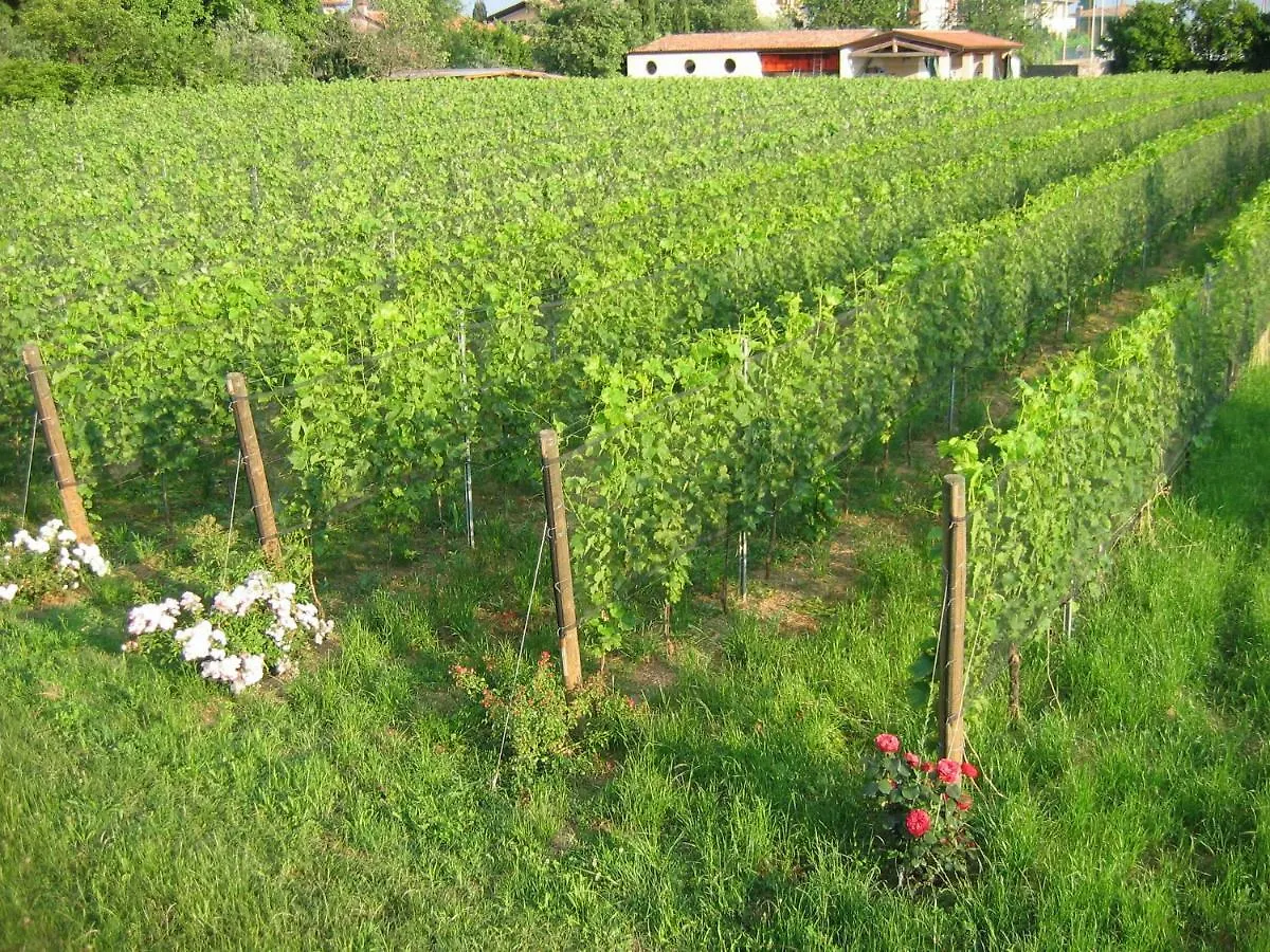 Agriturismo Le Chiusure San Felice del Benaco 0*,